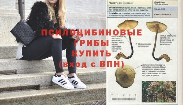 герыч Семилуки
