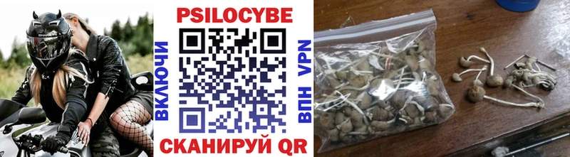 купить  сайты  Кохма  Псилоцибиновые грибы Cubensis 