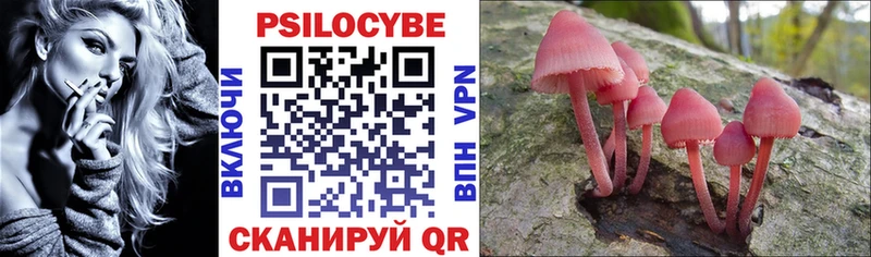 Галлюциногенные грибы Psilocybe Кохма